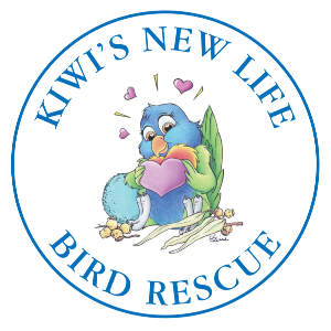 Kiwi’s New Life Bird Rescue