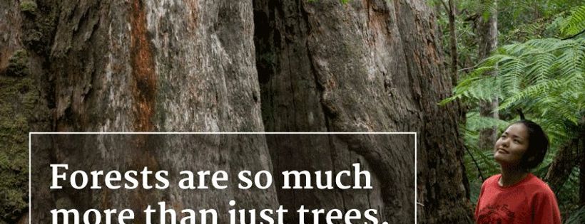 Victorian National Parks Association