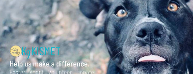 K9 Kismet Rescue