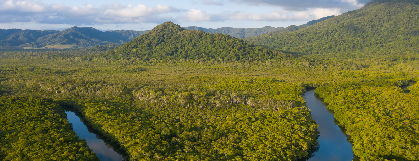 Gondwana Rainforest Trust