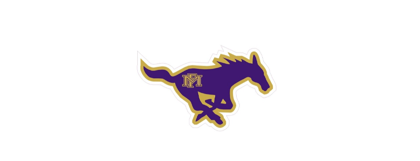 Spicewood Elementary PTO