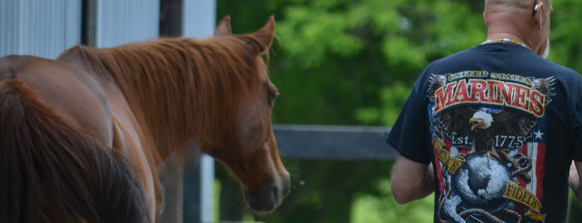 Spring Reins of Life, Inc. 501c3
