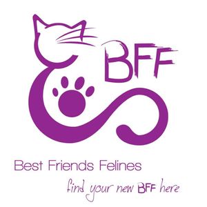 Best Friends Felines Inc