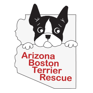Arizona Boston Terrier Rescue Logo