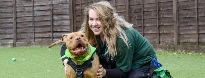 Cheltenham Animal Shelter