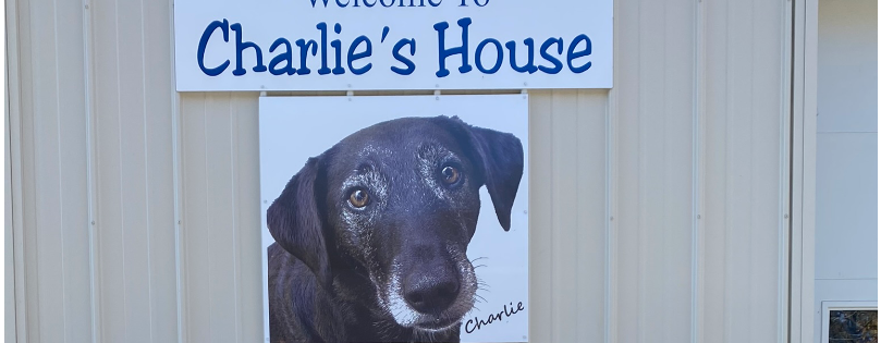 Rescue Charlie's Friends