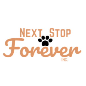 Next Stop Forever Inc Logo