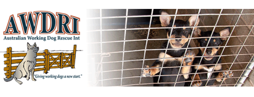 Australian Working Dog Rescue Int