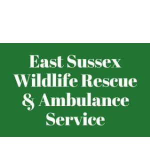 East Sussex Wildlife Rescue and Ambulance Service