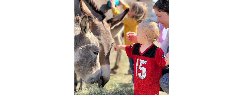 Oregon Donkey Sanctuary Northwest