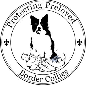 Protecting Preloved Border Collies Logo
