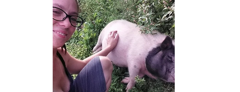 Happy hugs pig therapy and rescue