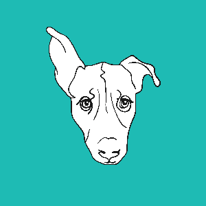 Save Our Scruff - Rehome and Rescue Logo