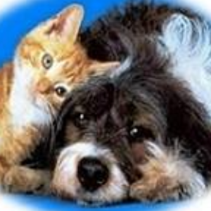 South Gippsland Animal Aid