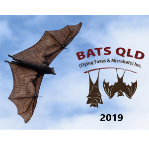Bats Qld (Flying Foxes & Microbats Inc.) Logo