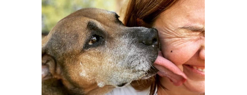 Golden Ears Sanctuary & Rescue