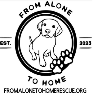 From Alone To Home Rescue