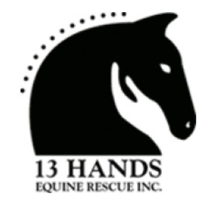 13 Hands Equine Rescue Inc Logo