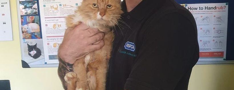 RSPCA Danaher Animal Home