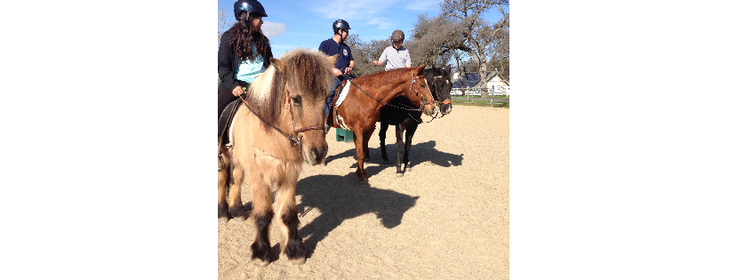 Healing Pastures at C-Horse Ranch