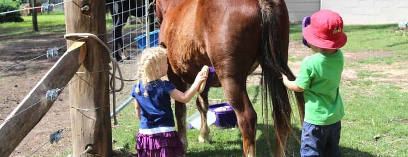 Hunter Valley Brumby Association