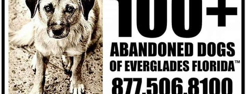 100 plus Animal Rescue Inc