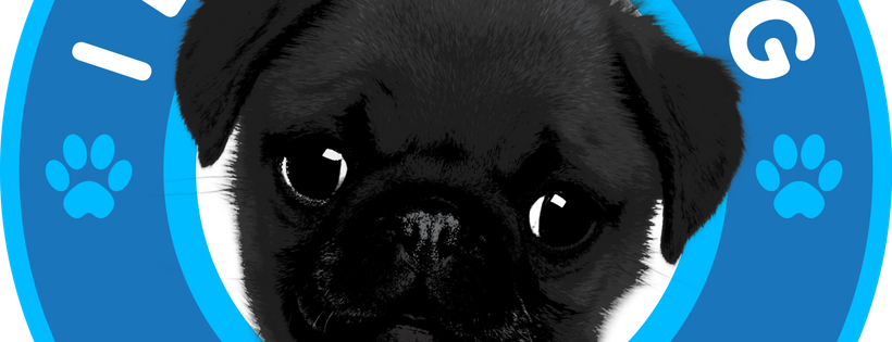I Love My Dog So Much Foundation