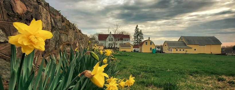Strong Family Farm