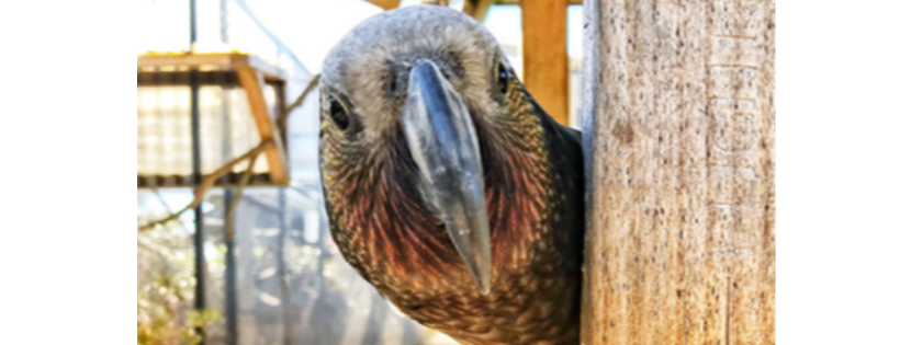Natureland Wildlife Trust