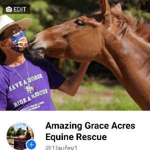 Amazing Grace Acres Equine Rescue Logo