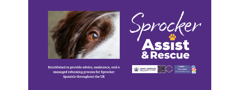 Sprocker assist and rescue