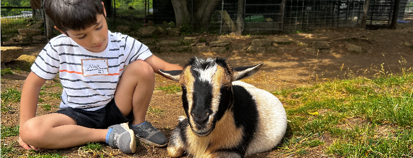 Heartland Farm Sanctuary