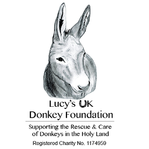 Lucy‘s UK Donkey Foundation