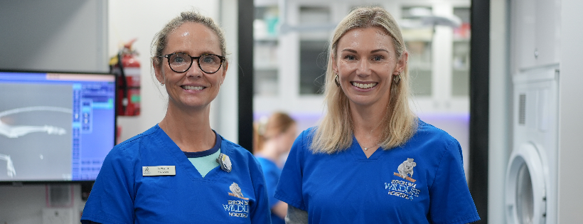 BYRON BAY WILDLIFE HOSPITAL