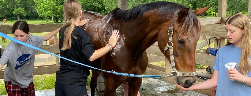 Blue Skies Riding Academy, Inc