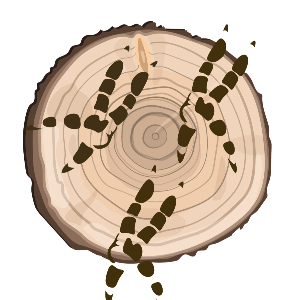 Tidewater Rehabilitation and Environmental Education Logo