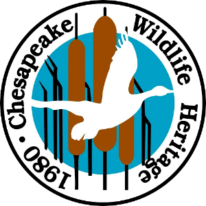 Chesapeake Wildlife Heritage, Inc.