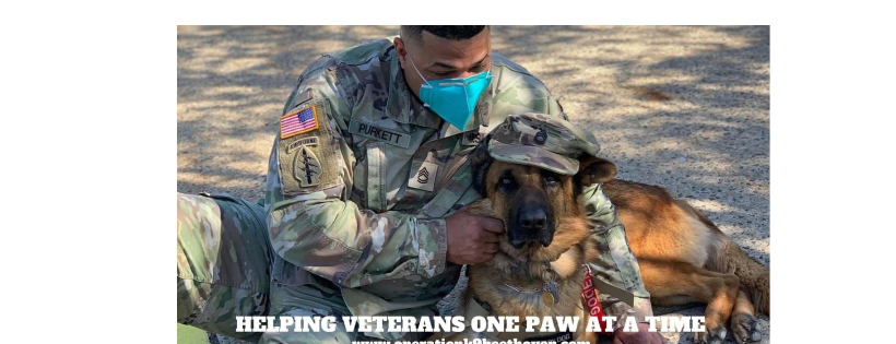 Operation K9 Beethoven A Nj Nonprofit Corporation