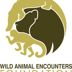 Wild Animal Encounters Foundation Limited