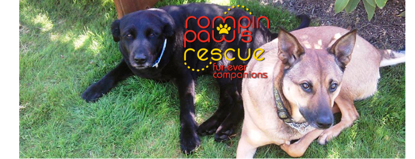 Rompin Paws Rescue