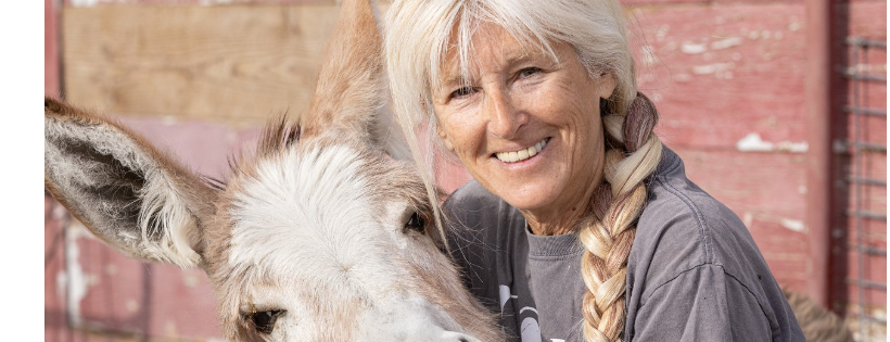 Windy's Ranch & Rescue