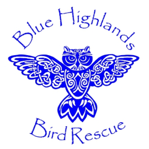 Blue Highlands Bird Rescue