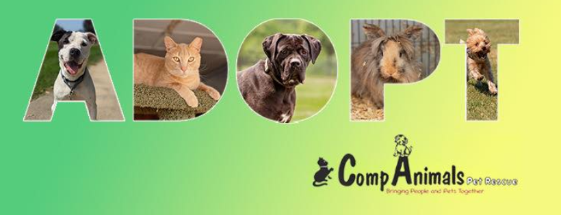 CompAnimals Pet Rescue