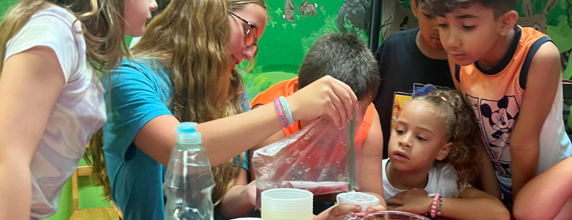 Supportive Partnerships for Youth