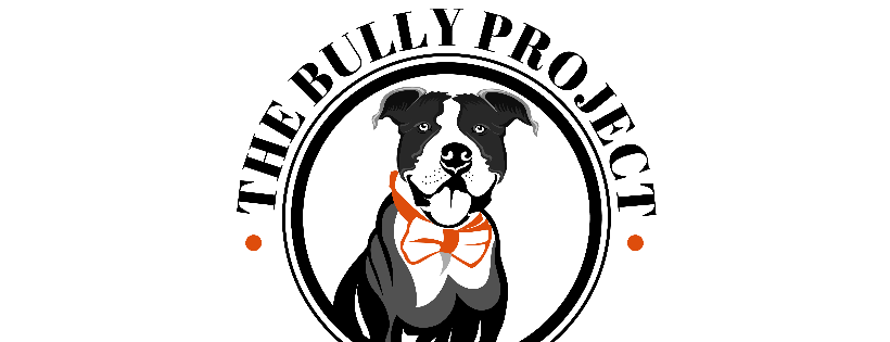 Polk County Bully Project