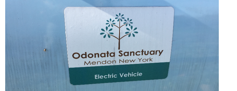 Odonata Sanctuary