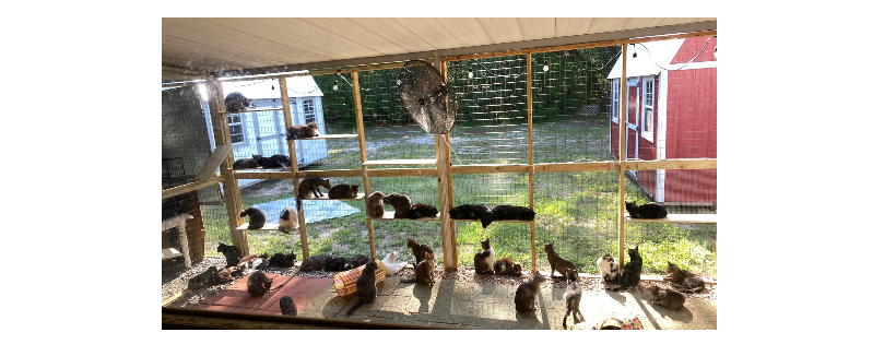 Heavenly Cats, Inc.