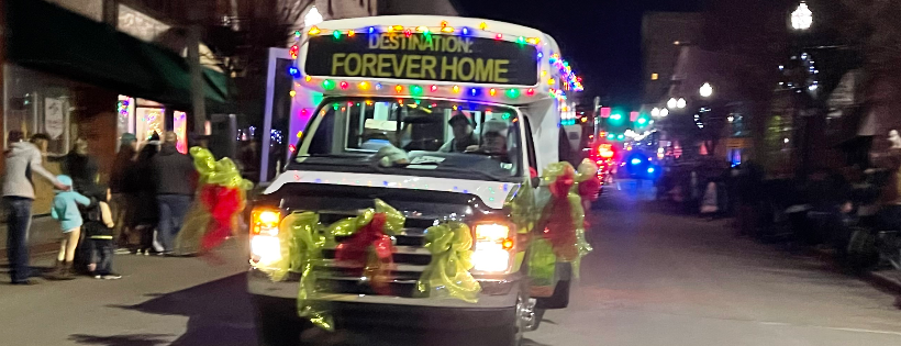 Bridge To Home Animal Rescue