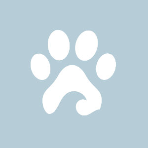 Sea Paws Rescue