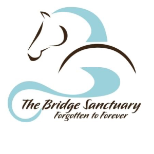 The Bridge Sanctuary Logo